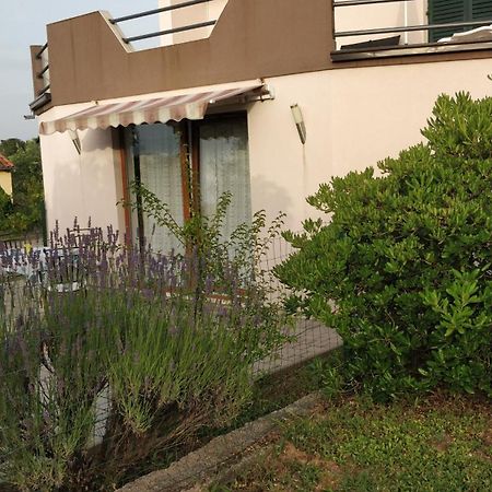 Apartment Lavinia Zadar Eksteriør bilde